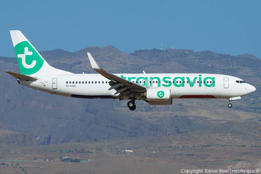 Transavia Boeing 737-8K2 (PH-HXO) | Photo 571283