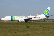 Transavia Boeing 737-8K2 (PH-HZB) at  Amsterdam - Schiphol, Netherlands