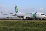 Transavia Boeing 737-8K2 (PH-HZD) at  Amsterdam - Schiphol, Netherlands