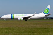 Transavia Boeing 737-8K2 (PH-HZD) at  Amsterdam - Schiphol, Netherlands