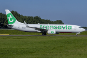 Transavia Boeing 737-8K2 (PH-HZD) at  Amsterdam - Schiphol, Netherlands