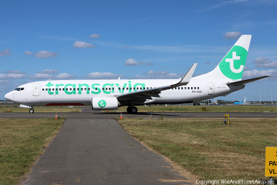 Transavia Boeing 737-8K2 (PH-HZD) | Photo 531499
