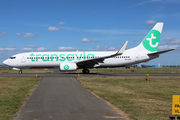 Transavia Boeing 737-8K2 (PH-HZD) at  Amsterdam - Schiphol, Netherlands