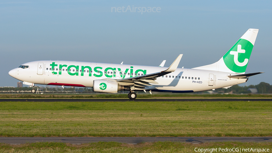Transavia Boeing 737-8K2 (PH-HZD) | Photo 570480