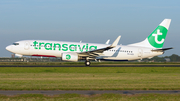 Transavia Boeing 737-8K2 (PH-HZD) at  Amsterdam - Schiphol, Netherlands