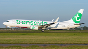 Transavia Boeing 737-8K2 (PH-HZD) at  Amsterdam - Schiphol, Netherlands