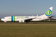 Transavia Boeing 737-8K2 (PH-HZD) at  Amsterdam - Schiphol, Netherlands