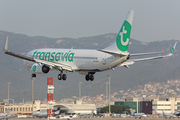Transavia Boeing 737-8K2 (PH-HZD) at  Barcelona - El Prat, Spain