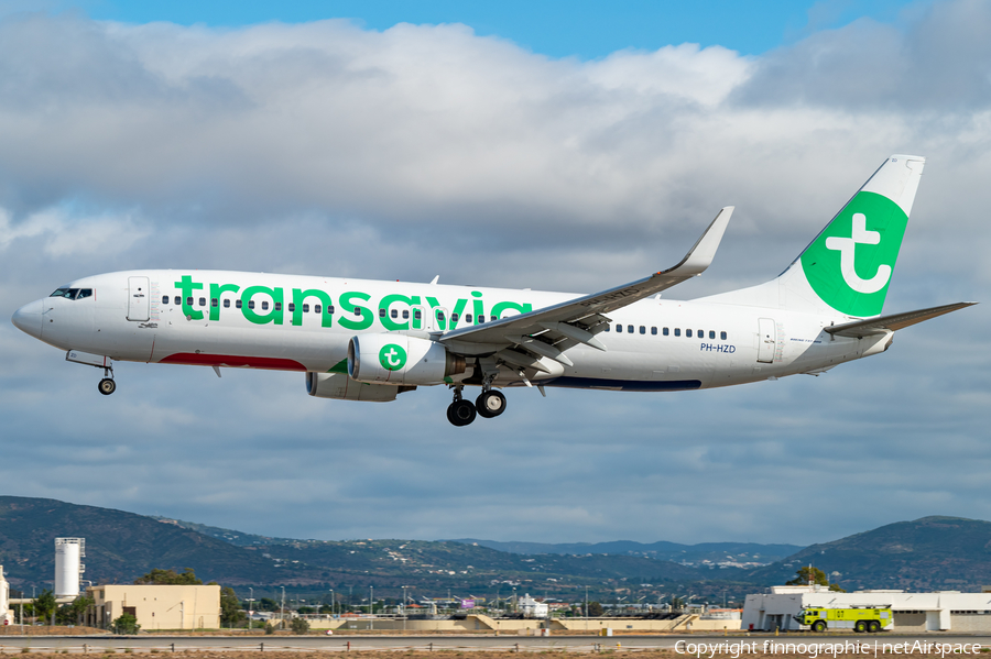 Transavia Boeing 737-8K2 (PH-HZD) | Photo 645691