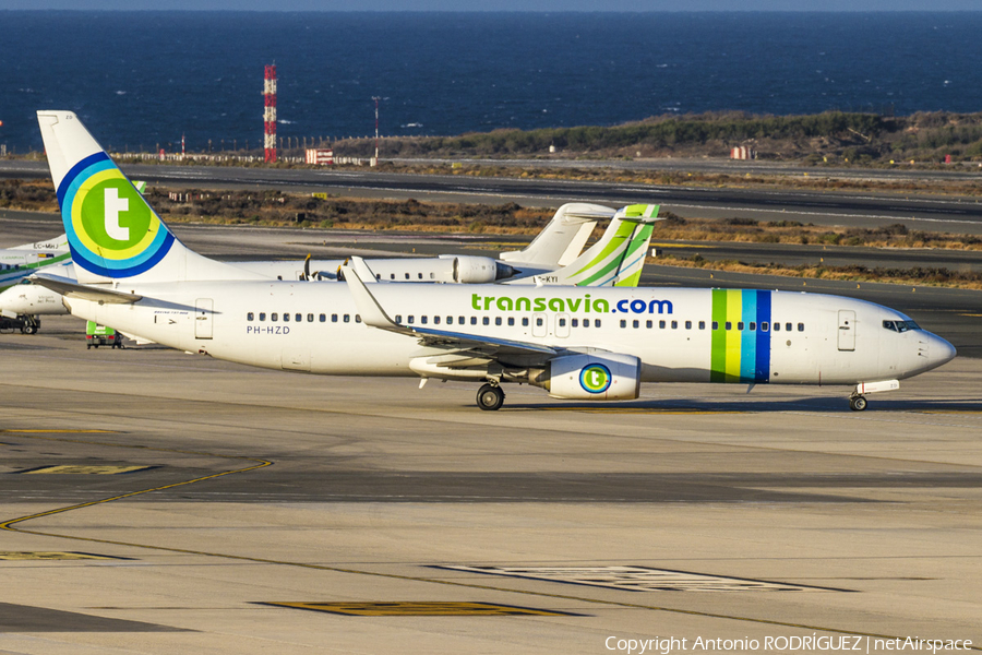Transavia Boeing 737-8K2 (PH-HZD) | Photo 123126