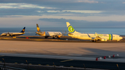 Transavia Boeing 737-8K2 (PH-HZD) at  Tenerife Sur - Reina Sofia, Spain