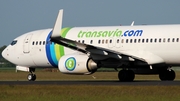 Transavia Boeing 737-8K2 (PH-HZE) at  Amsterdam - Schiphol, Netherlands