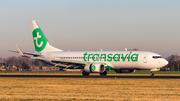 Transavia Boeing 737-8K2 (PH-HZE) at  Amsterdam - Schiphol, Netherlands