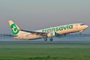 Transavia Boeing 737-8K2 (PH-HZE) at  Amsterdam - Schiphol, Netherlands