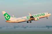 Transavia Boeing 737-8K2 (PH-HZE) at  Amsterdam - Schiphol, Netherlands