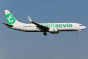 Transavia Boeing 737-8K2 (PH-HZE) at  Amsterdam - Schiphol, Netherlands