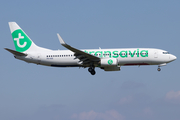 Transavia Boeing 737-8K2 (PH-HZE) at  Amsterdam - Schiphol, Netherlands