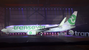 Transavia Boeing 737-8K2 (PH-HZE) at  Amsterdam - Schiphol, Netherlands