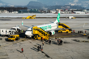 Transavia Boeing 737-8K2 (PH-HZE) at  Salzburg - W. A. Mozart, Austria