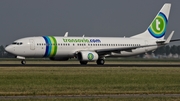 Transavia Boeing 737-8K2 (PH-HZF) at  Amsterdam - Schiphol, Netherlands