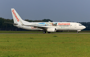 Transavia Boeing 737-8K2 (PH-HZG) at  Amsterdam - Schiphol, Netherlands