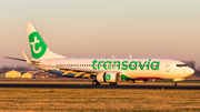 Transavia Boeing 737-8K2 (PH-HZG) at  Amsterdam - Schiphol, Netherlands