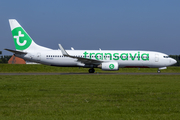 Transavia Boeing 737-8K2 (PH-HZG) at  Amsterdam - Schiphol, Netherlands