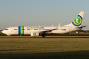 Transavia Boeing 737-8K2 (PH-HZG) at  Amsterdam - Schiphol, Netherlands