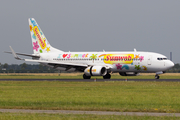 Transavia Boeing 737-8K2 (PH-HZG) at  Amsterdam - Schiphol, Netherlands