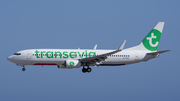 Transavia Boeing 737-8K2 (PH-HZG) at  Tenerife Sur - Reina Sofia, Spain