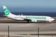 Transavia Boeing 737-8K2 (PH-HZG) at  Tenerife Sur - Reina Sofia, Spain