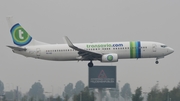 Transavia Boeing 737-8K2 (PH-HZI) at  Amsterdam - Schiphol, Netherlands