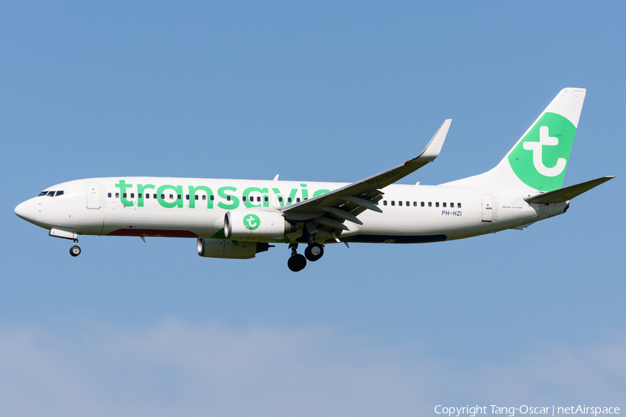 Transavia Boeing 737-8K2 (PH-HZI) | Photo 451663