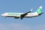 Transavia Boeing 737-8K2 (PH-HZI) at  Amsterdam - Schiphol, Netherlands