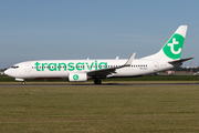 Transavia Boeing 737-8K2 (PH-HZJ) at  Amsterdam - Schiphol, Netherlands