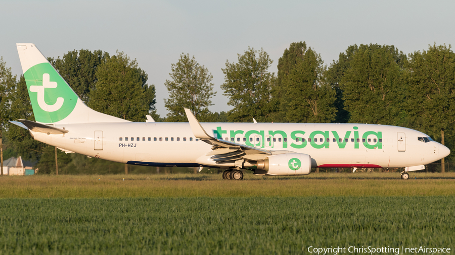 Transavia Boeing 737-8K2 (PH-HZJ) | Photo 256195
