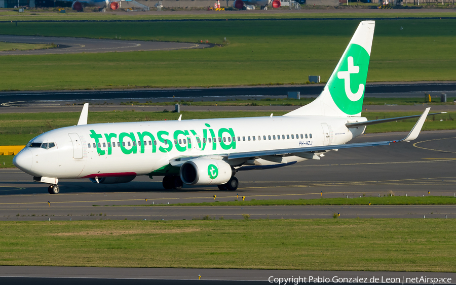 Transavia Boeing 737-8K2 (PH-HZJ) | Photo 350602