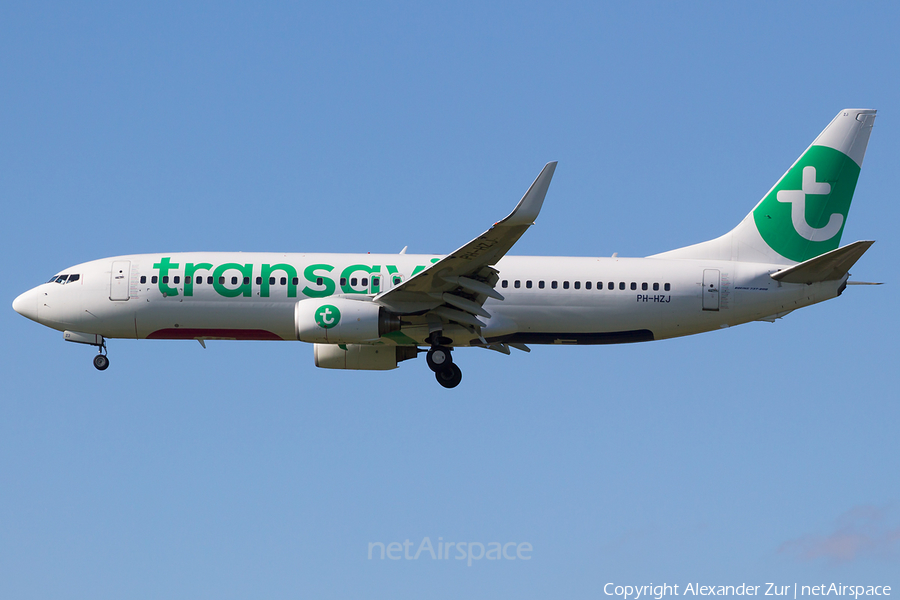 Transavia Boeing 737-8K2 (PH-HZJ) | Photo 430468