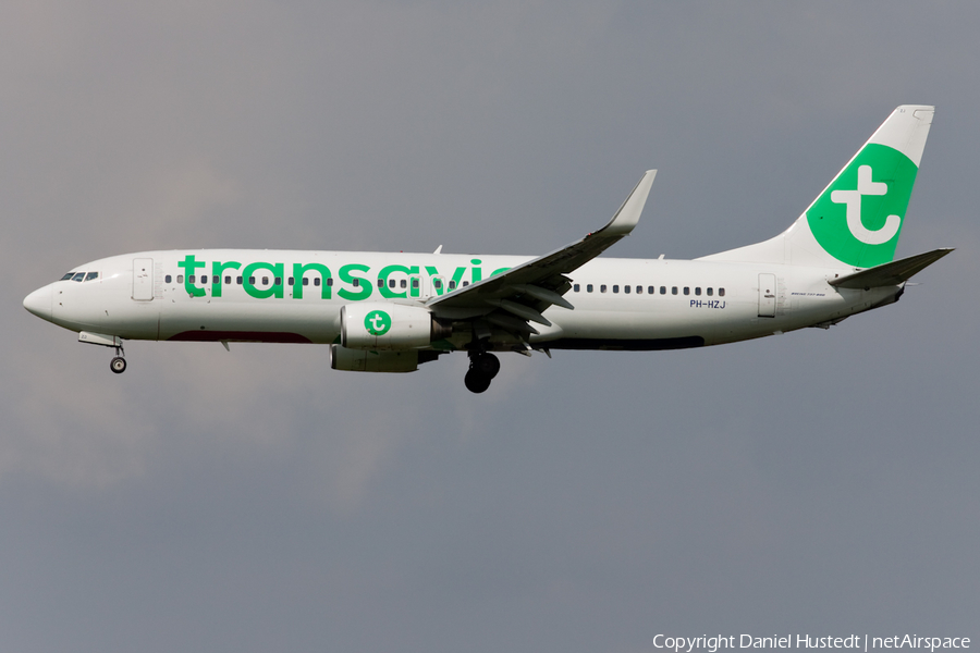 Transavia Boeing 737-8K2 (PH-HZJ) | Photo 453850