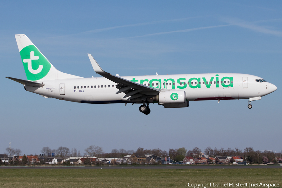 Transavia Boeing 737-8K2 (PH-HZJ) | Photo 516804