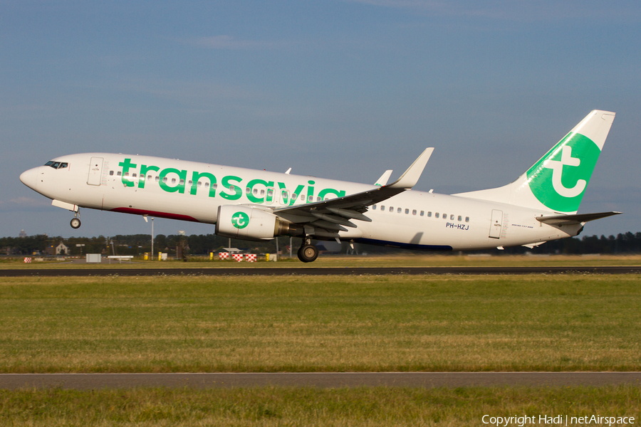 Transavia Boeing 737-8K2 (PH-HZJ) | Photo 81884