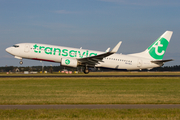 Transavia Boeing 737-8K2 (PH-HZJ) at  Amsterdam - Schiphol, Netherlands