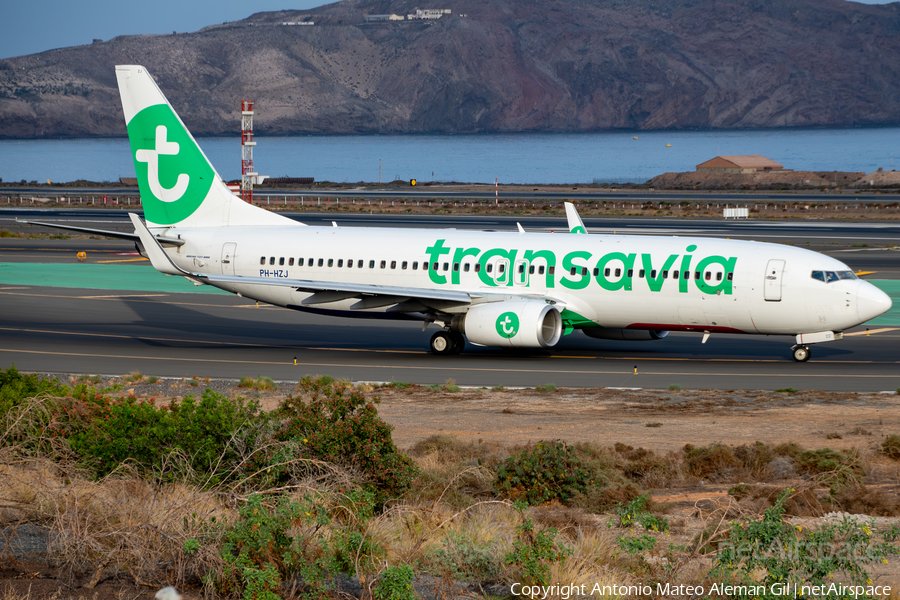 Transavia Boeing 737-8K2 (PH-HZJ) | Photo 655998