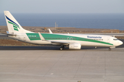 Transavia Boeing 737-8K2 (PH-HZJ) at  Tenerife Sur - Reina Sofia, Spain