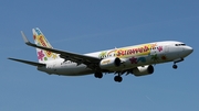 Transavia Boeing 737-8K2 (PH-HZL) at  Amsterdam - Schiphol, Netherlands