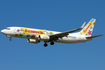 Transavia Boeing 737-8K2 (PH-HZL) at  Amsterdam - Schiphol, Netherlands