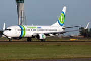 Transavia Boeing 737-8K2 (PH-HZL) at  Amsterdam - Schiphol, Netherlands