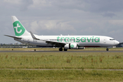 Transavia Boeing 737-8K2 (PH-HZL) at  Amsterdam - Schiphol, Netherlands