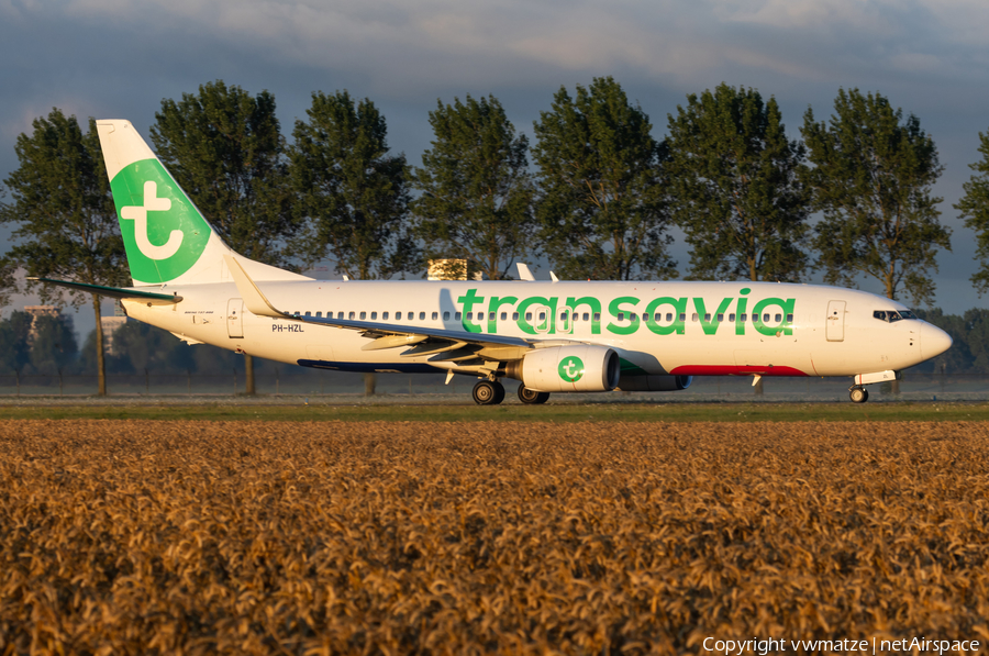 Transavia Boeing 737-8K2 (PH-HZL) | Photo 581524