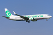 Transavia Boeing 737-8K2 (PH-HZL) at  Amsterdam - Schiphol, Netherlands